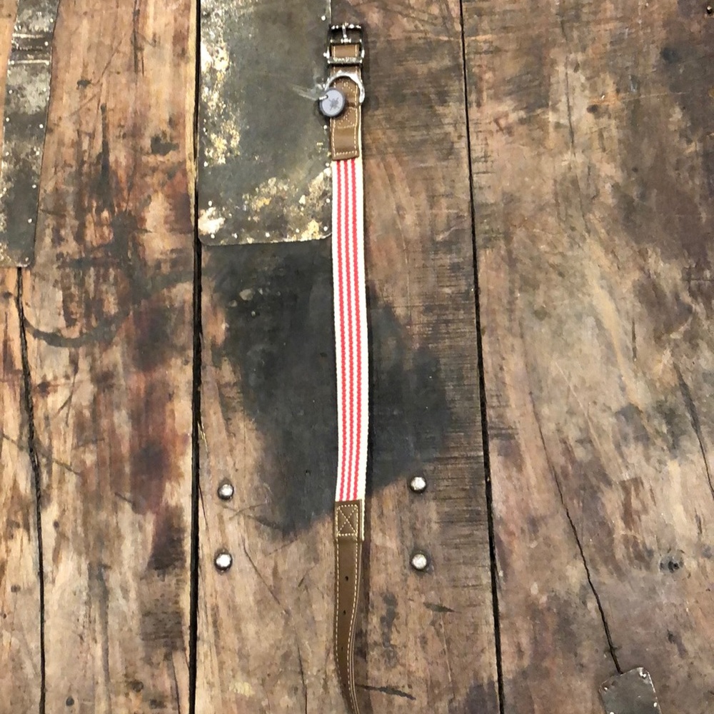 Dog collar